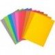 Lot de 50 chemises rock’s coloris assortis