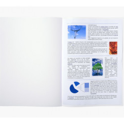 EXACOMPTA Paquet de 100 cotes plaidoiries - 22x31 cm - Kraft blanc 90g