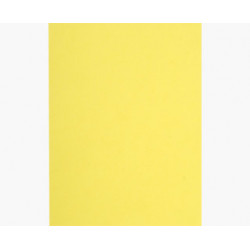 EXACOMPTA 100 Sous Chemises - 22X31 - 80G - Flash Jaune